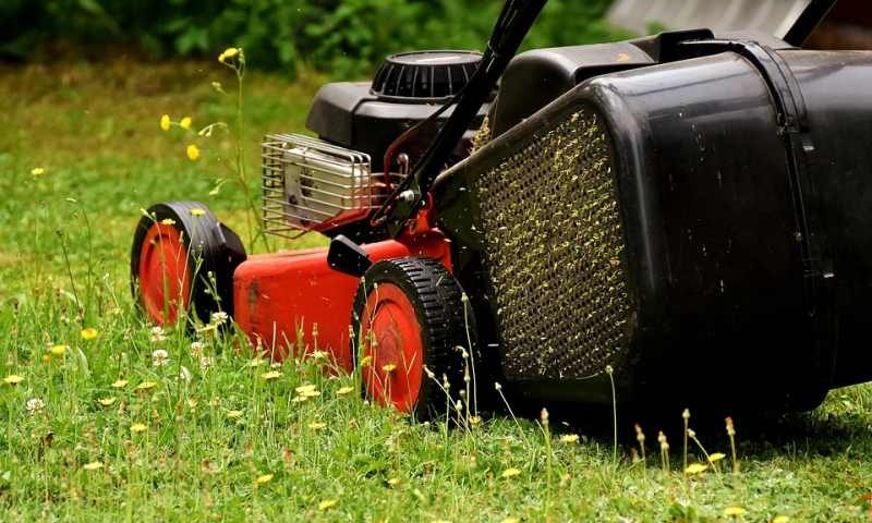 Dobre koła do kosiarki – czego można oczekiwać od produktów wysokiej jakości?
