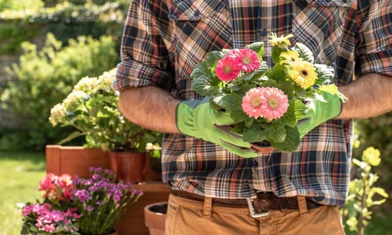 najnowsze trendy ogrodowe