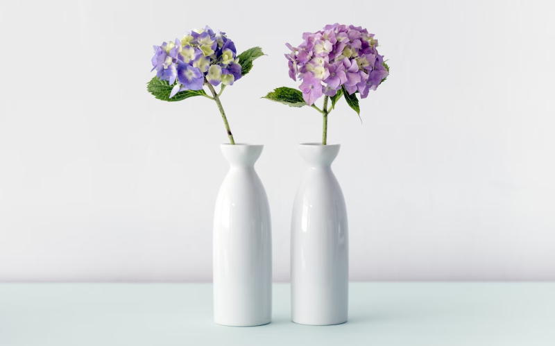 Ορτανσίες για γενέθλια