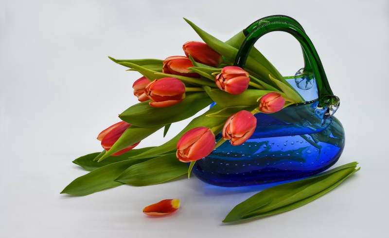 Τουλίπες για γενέθλια