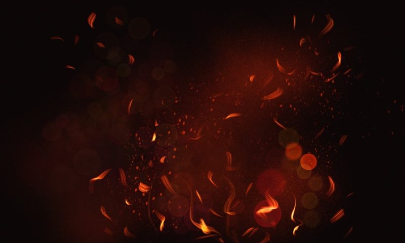 Grille gazowe czy węglowe? Które wybrać?