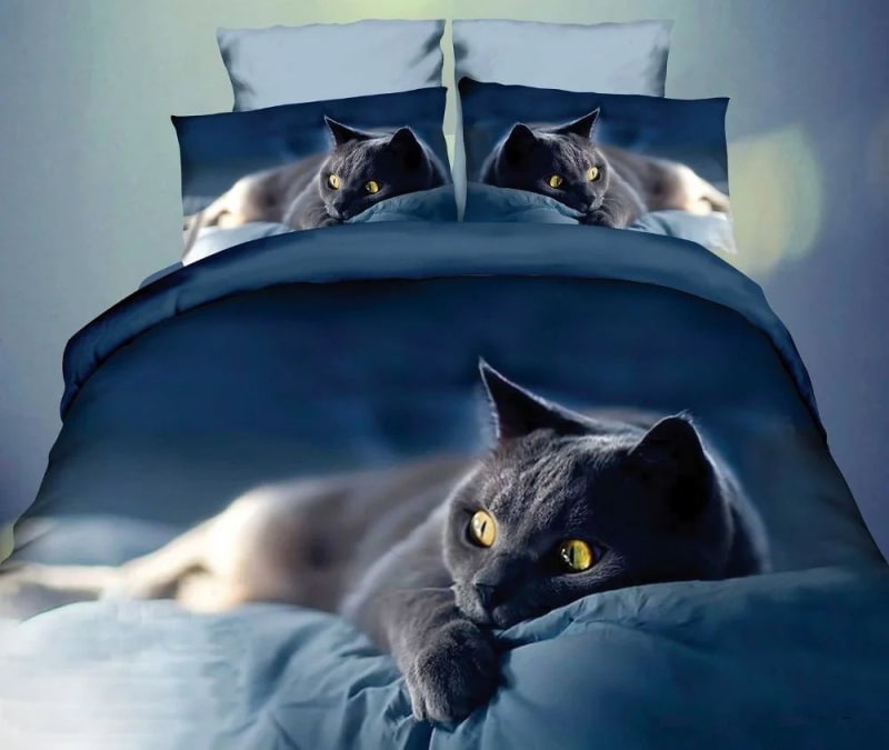 Κρεβάτι με γάτα