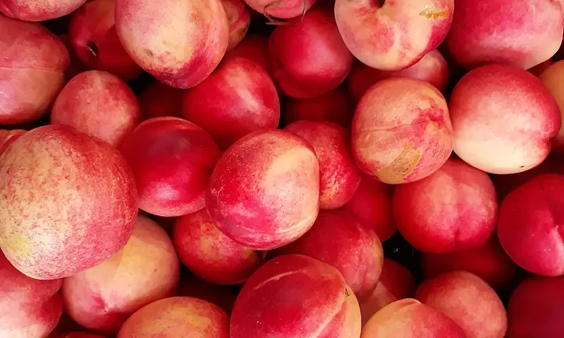 Brzoskwinia kcal - sprawdź ile kalorii mają brzoskwinie w puszcze!