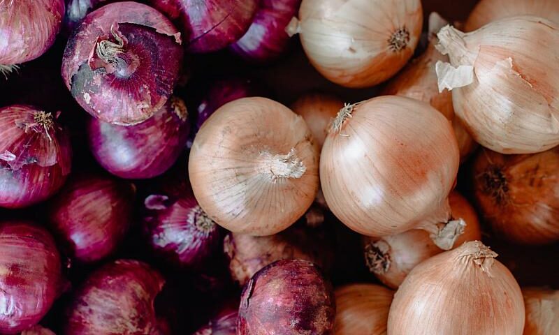 Cebula kcal - sprawdzamy kaloryczność cebuli czerwonej, smażonej i duszonej