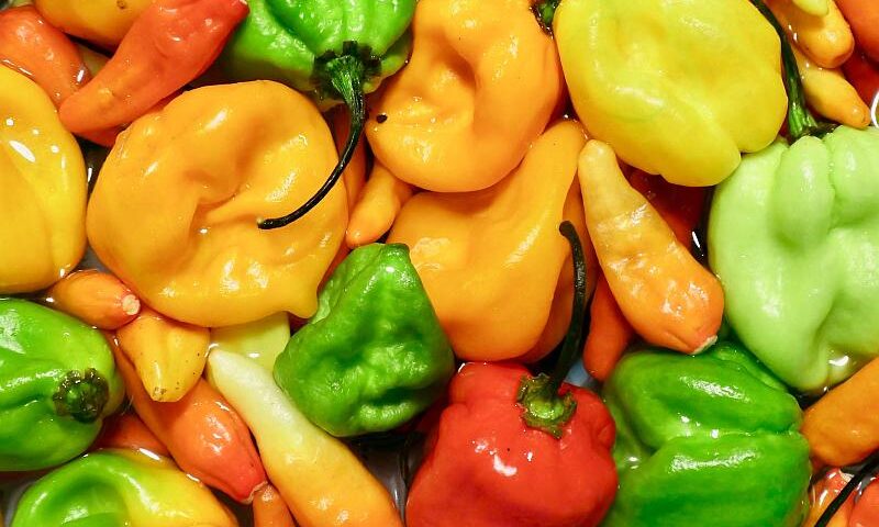 Papryka kcal - sprawdź ile kalorii ma papryka czerwona, żółta, zielona