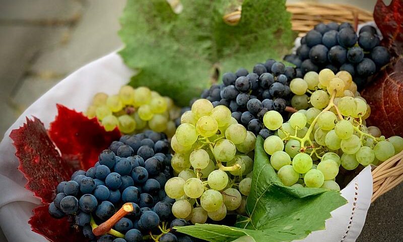 Winogrona kcal - sprawdź kaloryczność winogron czerwonych, białych i zielonych