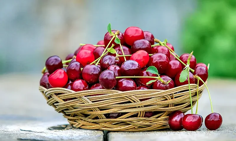 Czereśnie kcal - sprawdź ile kalorii mają soczyste czereśnie!