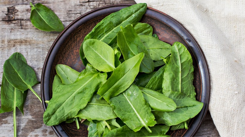 Οξαλίδα σούπα συνταγή της γιαγιάς